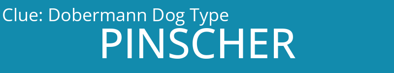 Dobermann Dog Type