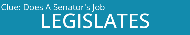 Does A Senator's Job