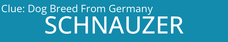 Dog Breed From Germany