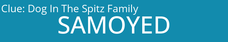 Dog In The Spitz Family