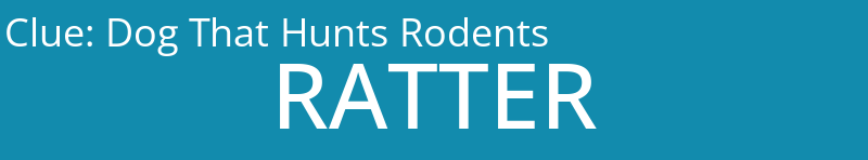 Dog That Hunts Rodents