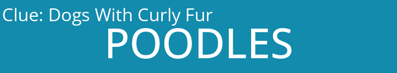 Dogs With Curly Fur