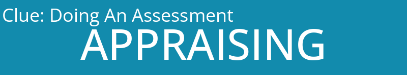Doing An Assessment