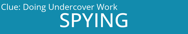 Doing Undercover Work