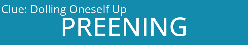Dolling Oneself Up
