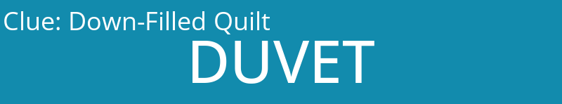 Down-Filled Quilt