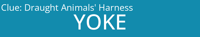 Draught Animals' Harness