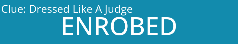 Dressed Like A Judge