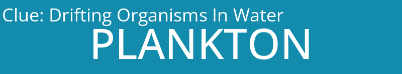 Drifting Organisms In Water