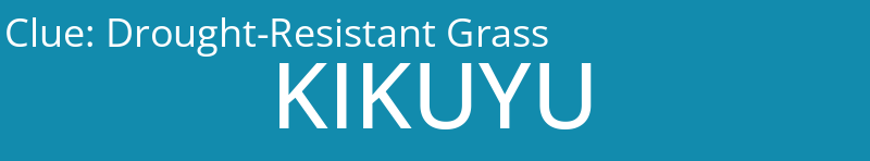 Drought-Resistant Grass