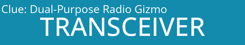 Dual-Purpose Radio Gizmo