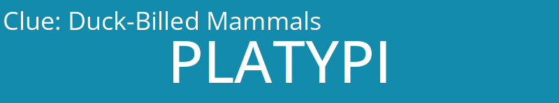 Duck-Billed Mammals