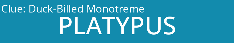 Duck-Billed Monotreme