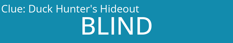 Duck Hunter's Hideout