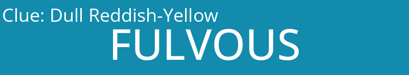 Dull Reddish-Yellow