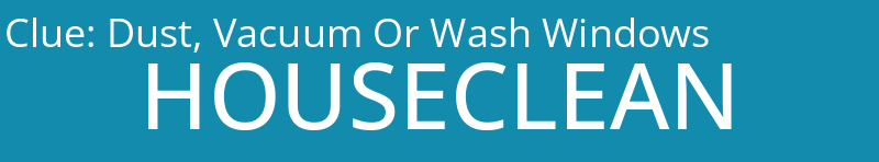 Dust, Vacuum Or Wash Windows