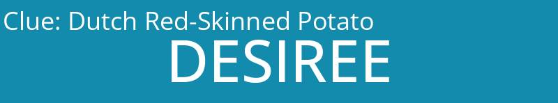Dutch Red-Skinned Potato