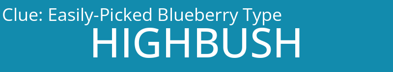 Easily-Picked Blueberry Type