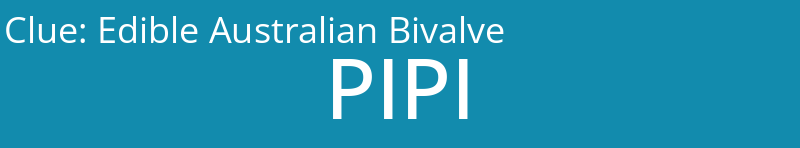 Edible Australian Bivalve