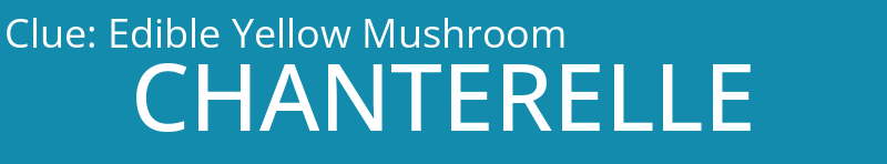 Edible Yellow Mushroom