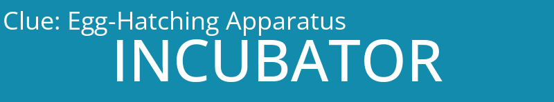 Egg-Hatching Apparatus