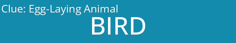 Egg-Laying Animal