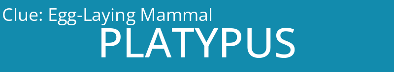 Egg-Laying Mammal