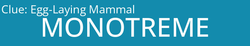 Egg-Laying Mammal
