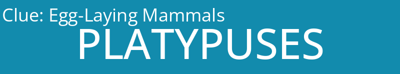 Egg-Laying Mammals
