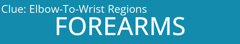 Elbow-To-Wrist Regions