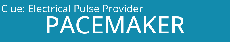 Electrical Pulse Provider