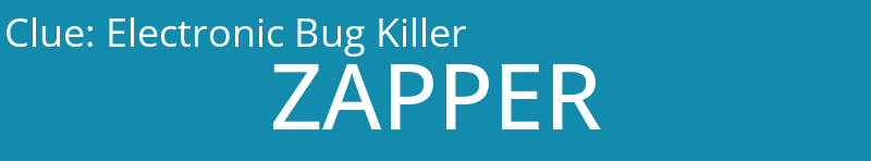 Electronic Bug Killer