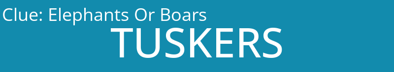 Elephants Or Boars