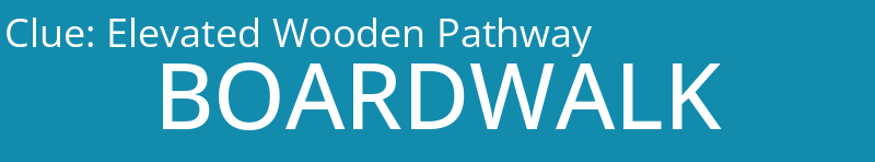 Elevated Wooden Pathway
