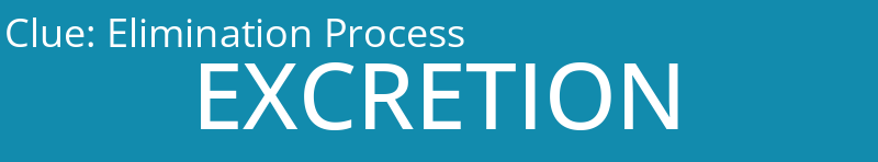 Elimination Process