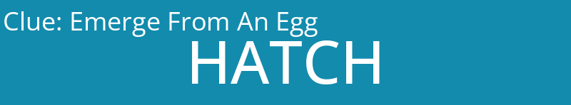 Emerge From An Egg