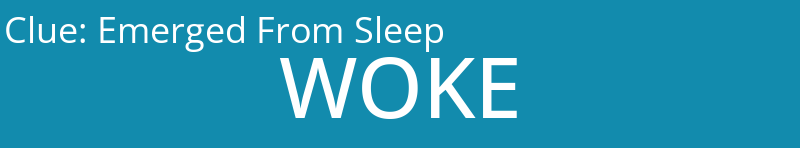 Emerged From Sleep