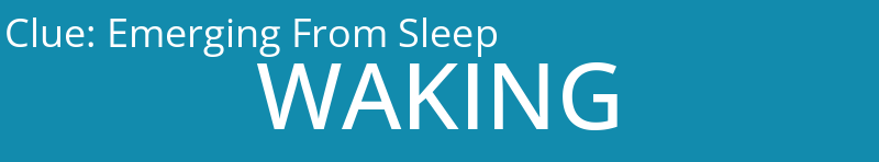 Emerging From Sleep