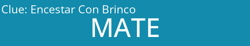 Encestar Con Brinco