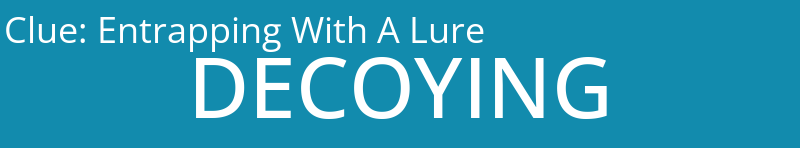 Entrapping With A Lure