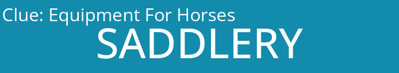Equipment For Horses