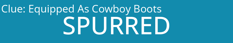 Equipped As Cowboy Boots