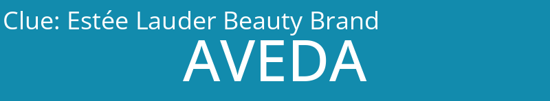 Estée Lauder Beauty Brand