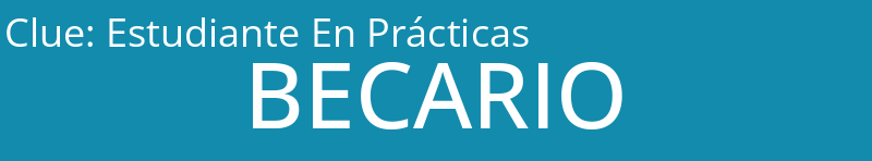 Estudiante En Prácticas