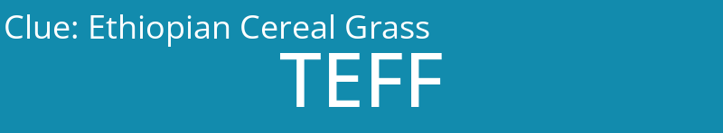 Ethiopian Cereal Grass