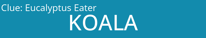 Eucalyptus Eater