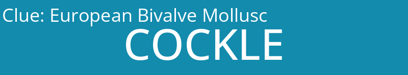 European Bivalve Mollusc