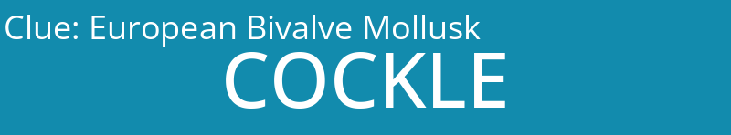 European Bivalve Mollusk