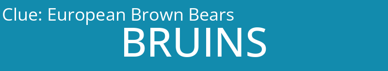 European Brown Bears