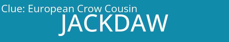 European Crow Cousin